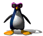 A danc'n penguin with shades