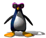 Dancing Penguin with shades